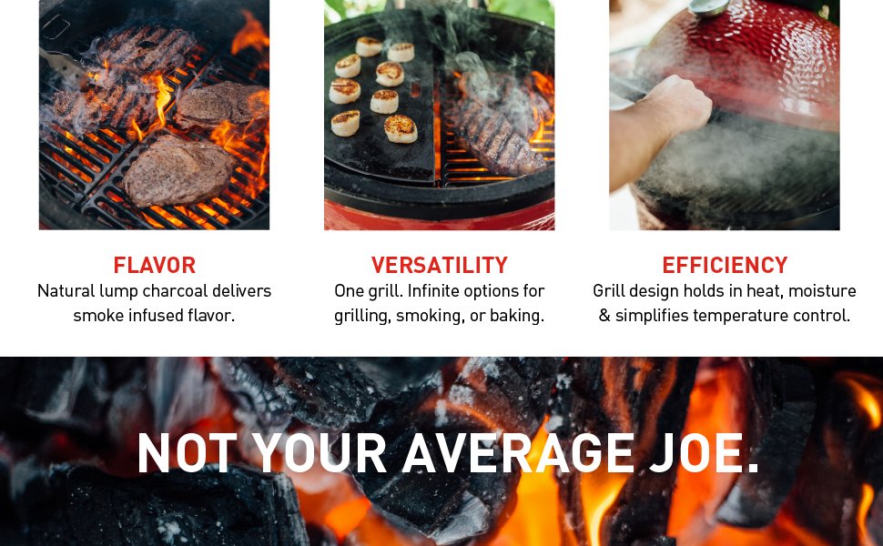 Flavor Versatility efficiency not your average joe